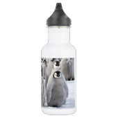 Emperor Penguin Chicken Water Fles (Rechts)