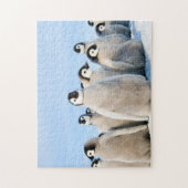 Emperor Penguin Chicks - puzzle Legpuzzel (Verticaal)