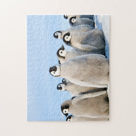 Emperor Penguin Chicks - puzzle Legpuzzel (Verticaal)