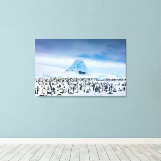 Emperor Penguin Colony Canvas Afdruk (Insitu (Houten vloer))
