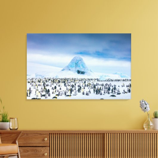Emperor Penguin Colony Canvas Afdruk (Insitu (Woonkamer))