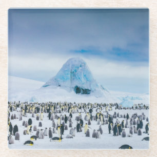 Emperor Penguin Colony Glazen Onderzetter