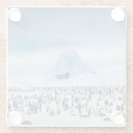 Emperor Penguin Colony Glazen Onderzetter (Achterkant)