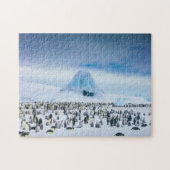 Emperor Penguin Colony Legpuzzel (Horizontaal)