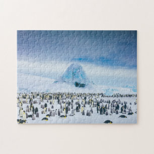 Emperor Penguin Colony Legpuzzel
