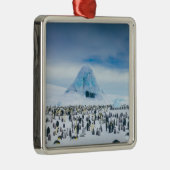 Emperor Penguin Colony Metalen Ornament (Rechts)