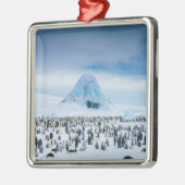Emperor Penguin Colony Metalen Ornament (Links)