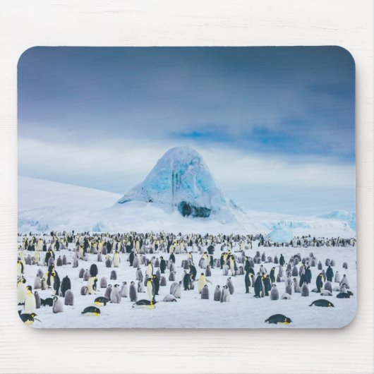 Emperor Penguin Colony Muismat (Voorkant)