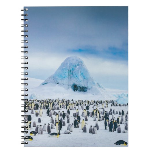 Emperor Penguin Colony Notitieboek (Voorkant)