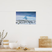 Emperor Penguin Colony Poster (Keuken)