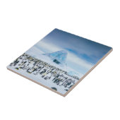 Emperor Penguin Colony Tegeltje (Zijkant)