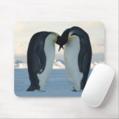 Emperor Penguin Courtship Muismat (Met muis)