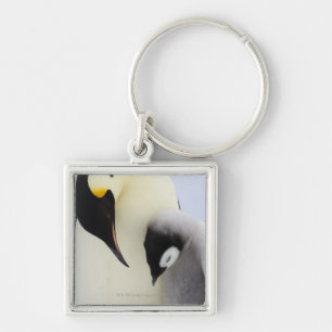 Emperor Penguin die naar de kuiken kijkt Sleutelhanger