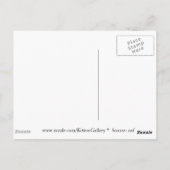 Emperor Penguin Kiss - Briefkaart (Achterkant)