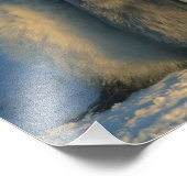 Emperor Penguin-kuikens in crèche, Aptenodytes Foto Afdruk (Hoek)