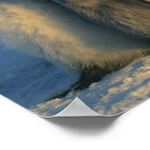 Emperor Penguin-kuikens in crèche, Aptenodytes Poster (Hoek)