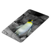 Emperor Penguin Magneet (Linkerzijde)