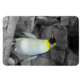 Emperor Penguin Magneet (Horizontaal)