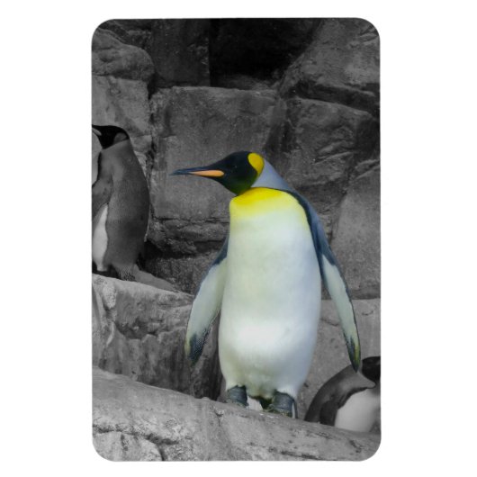 Emperor Penguin Magneet (Verticaal)