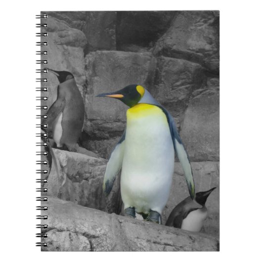 Emperor Penguin Notitieboek (Voorkant)