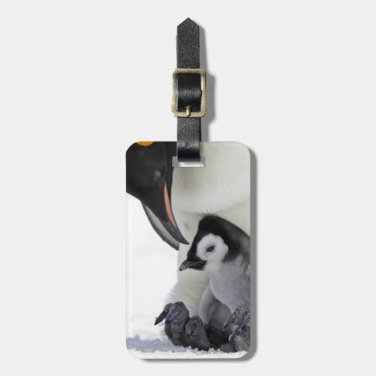 Emperor Penguin | Snow Hill Island Bagagelabel (Voorkant verticaal)