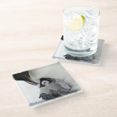 Emperor Penguin | Snow Hill Island Glazen Onderzetter (Schuin)