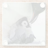 Emperor Penguin | Snow Hill Island Glazen Onderzetter (Achterkant)