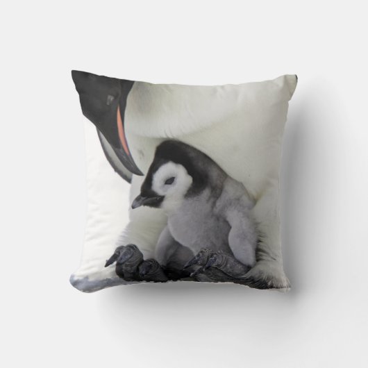 Emperor Penguin | Snow Hill Island Kussen (Voorkant)