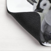 Emperor Penguin | Snow Hill Island Muismat (Hoek)