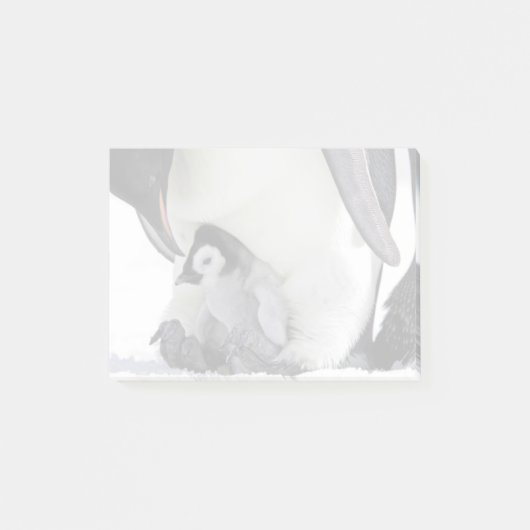 Emperor Penguin | Snow Hill Island Post-it® Notes (Voorkant)