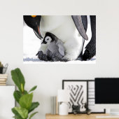 Emperor Penguin | Snow Hill Island Poster (Thuiskantoor)