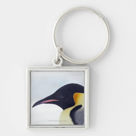 Emperor Penguin, Snow Hill Island Sleutelhanger (Voorkant)