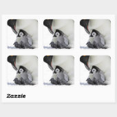 Emperor Penguin | Snow Hill Island Vierkante Sticker (Vel)