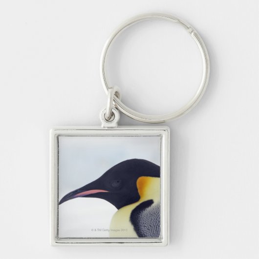 Emperor Penguin, Snow hill Island, Weddel Zee Sleutelhanger (Voorkant)