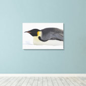 Emperor Penguin, Snow Hill Island, Weddell Zee Canvas Afdruk (Insitu (Houten vloer))