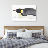 Emperor Penguin, Snow Hill Island, Weddell Zee Canvas Afdruk (Insitu (Slaapkamer))
