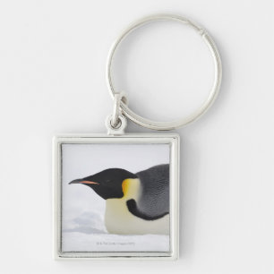 Emperor Penguin, Snow Hill Island, Weddell Zee Sleutelhanger