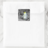 Emperor Penguin Vierkante Sticker (Tas)