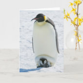 Emperor Penguin with Chick- note card Kaart (Gele Bloem)