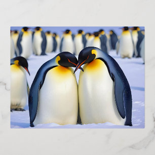Emperor Penguins Animal Natuur Wildlife Affection Folie Feestdagen Briefkaart
