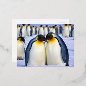Emperor Penguins Animal Natuur Wildlife Affection Folie Feestdagen Briefkaart (Voorkant / Achterkant)