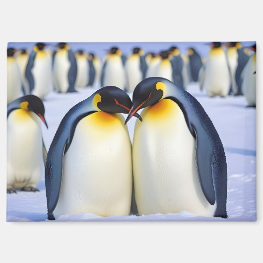 Emperor Penguins Animal Natuur Wildlife Affection Magneet (Voorkant)