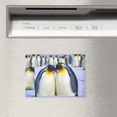 Emperor Penguins Animal Natuur Wildlife Affection Magneet (Insitu (Vaatwasser))