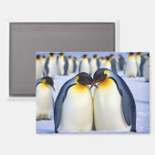 Emperor Penguins Animal Natuur Wildlife Affection Magneet (Voorkant / Achterkant)