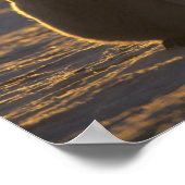 Emperor Penguins, Aptenodytes forsteri), 2 Poster (Hoek)