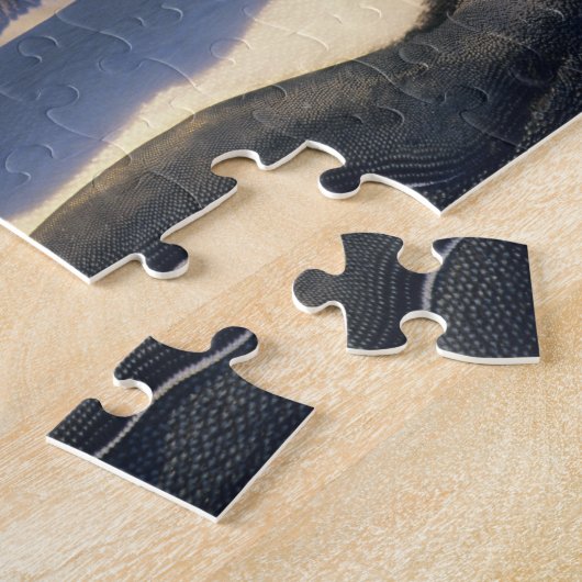 Emperor Penguins (Aptenodytes forsteri) Volwassene Legpuzzel (Zijkant)