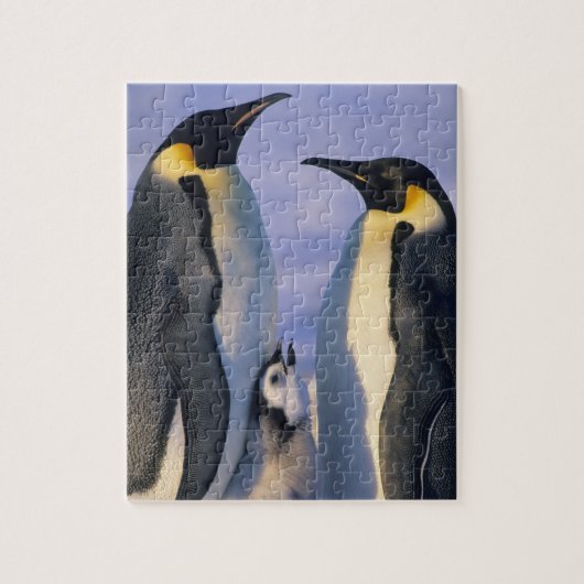 Emperor Penguins (Aptenodytes forsteri) Volwassene Legpuzzel (Verticaal)