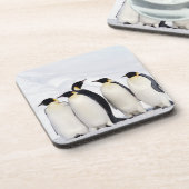 Emperor Penguins Bier Onderzetter (Linkerzijde)