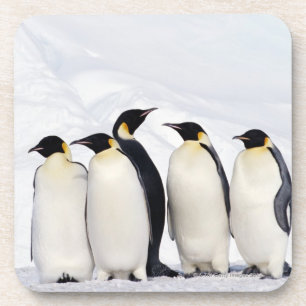 Emperor Penguins Bier Onderzetter