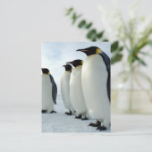 Emperor Penguins Briefkaart (Staand voorkant)